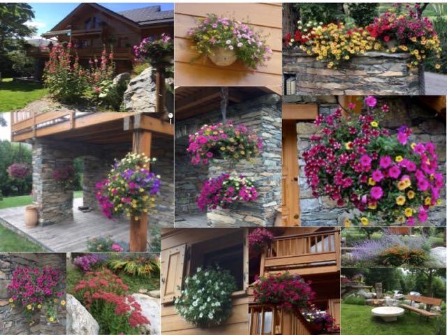 au Chalet des Bollons nous aimons les fleurs